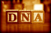 Leadership_dna