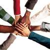 Diversity_team